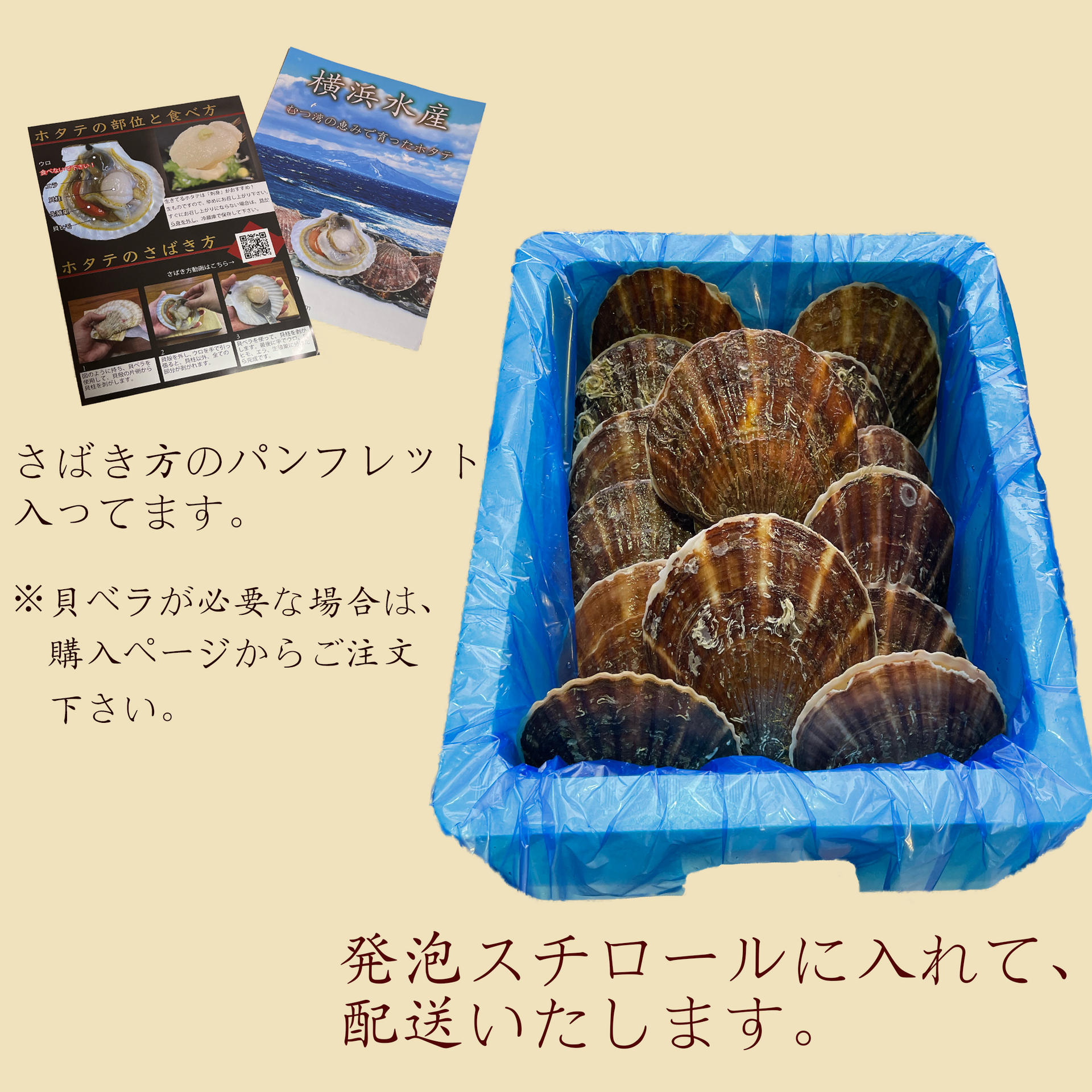 横浜ホタテ 枚数指定パック – 横浜水産